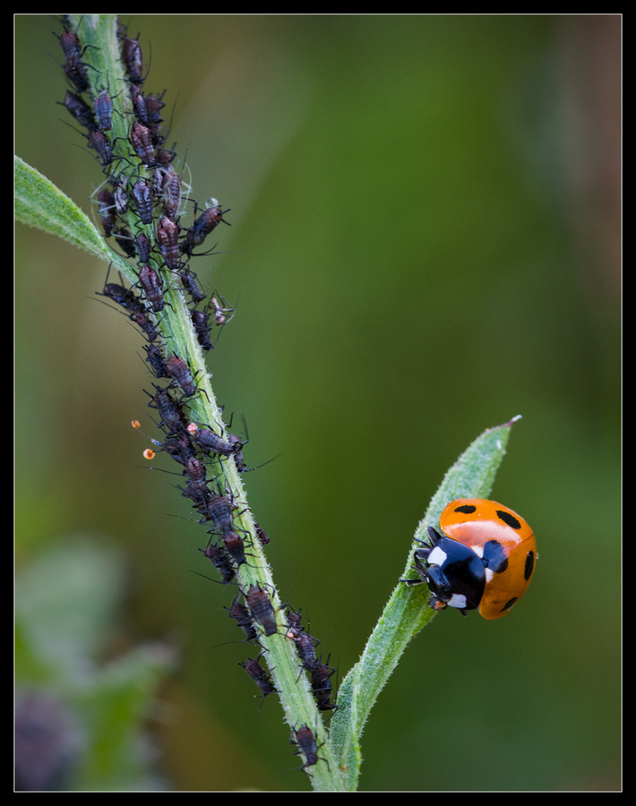 The End is Nigh - Mark Rivers